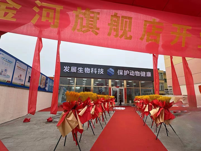 ggpoker����-�й��ٷ���վ,�¹�Ч��������