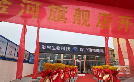 ggpoker���������콢��ʢ��ҵ